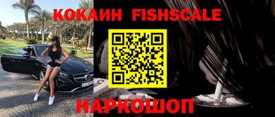 индика Рузаевка