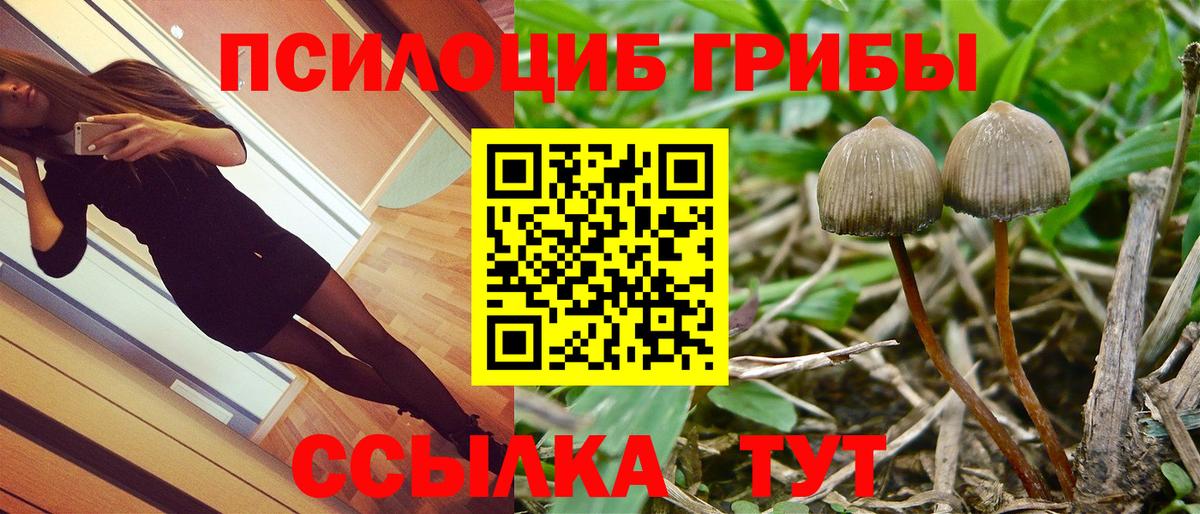 Родники  Галлюциногенные грибы мицелий  Псилоцибиновые грибы мухоморы  Вход с VPN 