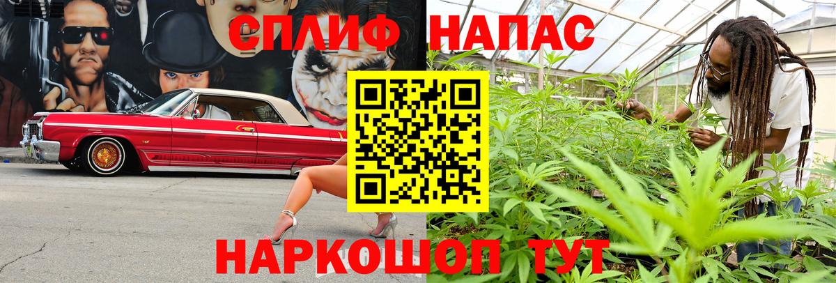 Канабис SATIVA & INDICA  Бошки Шишки VHQ  Вход с VPN  Конопля семена  Родники 